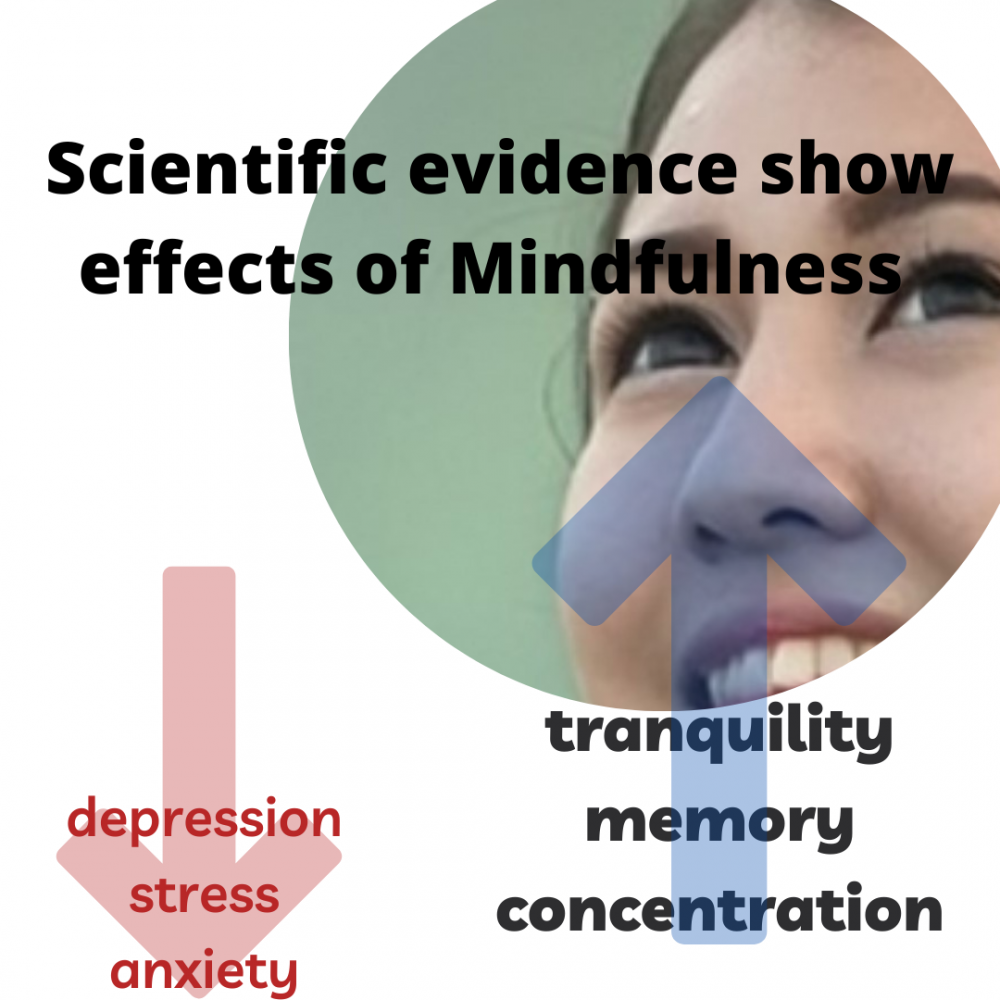 Which are the benefits of Mindfulness? - Maria Paula Pinto