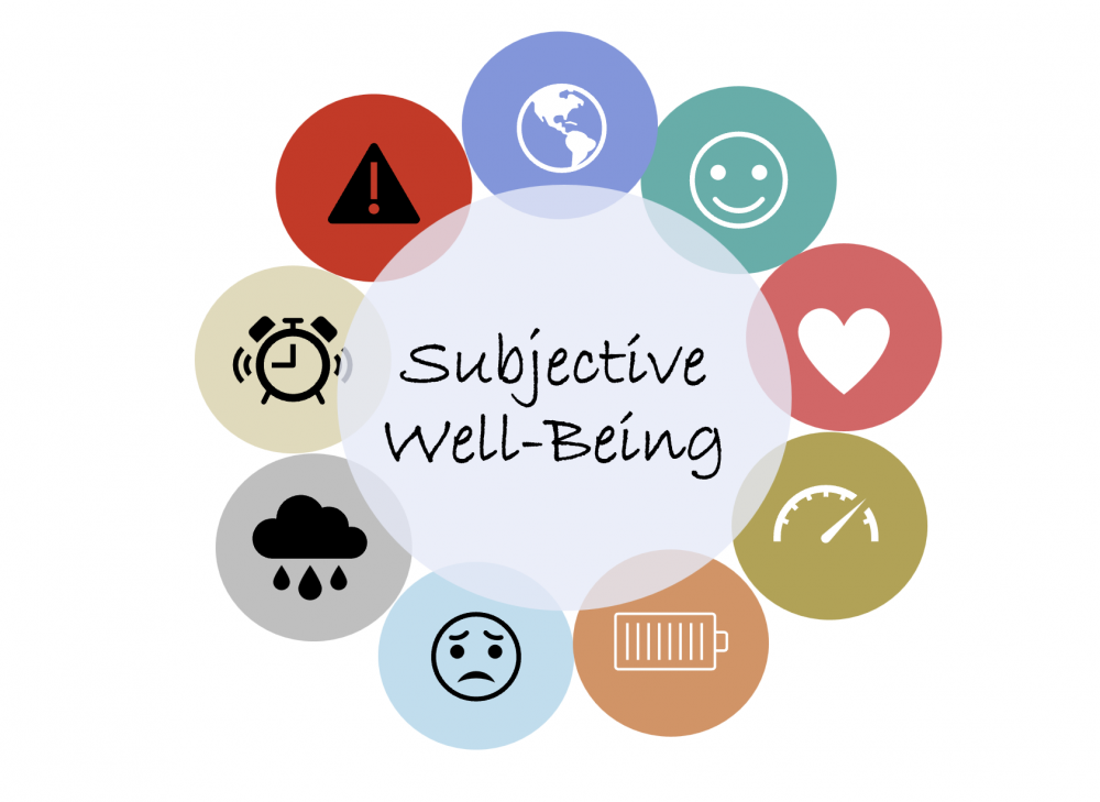 Publications on Subjective Well-Being - Maria Paula Pinto
