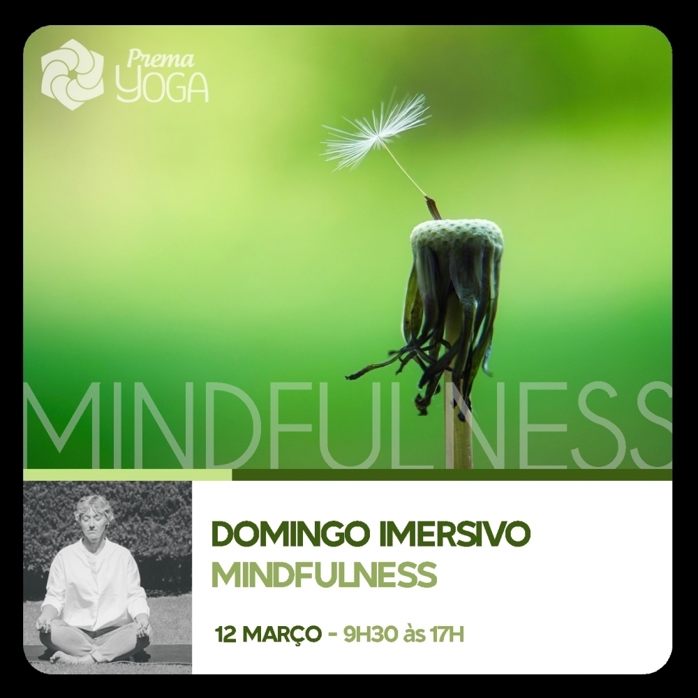 Mindfulness Immersive Day + Certification - Maria Paula Pinto